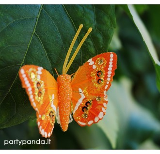 Dekoratyvinis drugelis segtukas, oranžinis